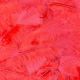 Veertjes Rood