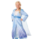 Elsa Frozen 2™ Limited Edition Jurk 