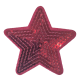 Embleem Nr. 746 Ster Glitter Fuchsia Roze