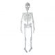 Skelet Glow in the Dark