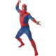 Spiderman™ Volwassenen Kostuum en Masker