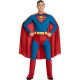 Superman™ Volwassenen 