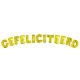 Folieballonnen set Gefeliciteerd Goud