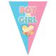 Vlaggenlijn Boy or Girl 