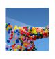 Drop net voor 200 ballonnen