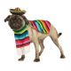 Honden Kostuum Mexicaan