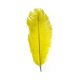 Struisveer 50-60 cm Geel