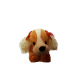 Hond Bewegend Bruin