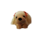 Hond Bewegend Wit