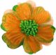 Kruikenstad Golfband Oranje Groen