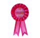 Rozet Pink Pride Party