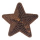Embleem Nr. 744 Ster Glitter Bruin