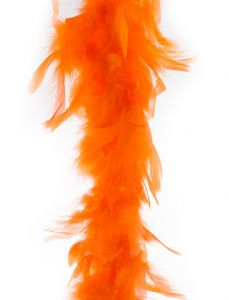 Boa Oranje