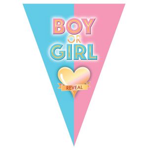Vlaggenlijn Boy or Girl 