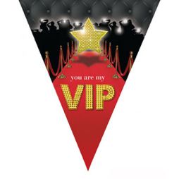 Vlaggenlijn VIP (5 m.)