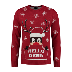 Kersttrui Hello Deer met zakken