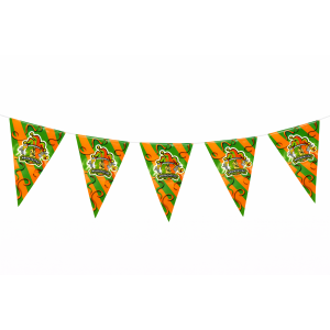 Originele Kruikenstad Vlaggenlijn