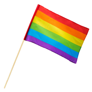 Zwaaivlag Regenboog