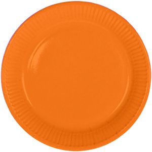 Bordjes Oranje 18 cm. 8 stuks