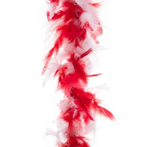 Boa Rood Wit