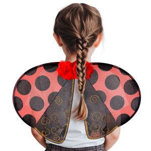 Vleugels lieveheersbeestje