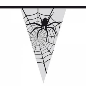Vlaggenlijn Spin in spinnenweb