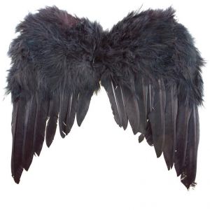 Engelen Vleugels Zwart 35 cm