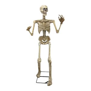 Halloween Skelet Licht, beweging en geluid