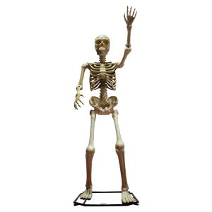 Staand Skelet 335 cm.