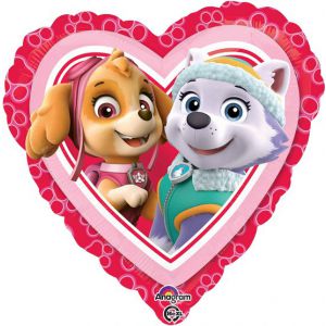 Folieballon Paw Patrol Sky en Everest