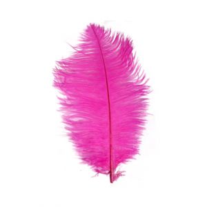 Struisveer 34-38 cm Roze