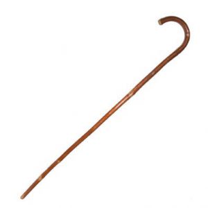 Wandelstok