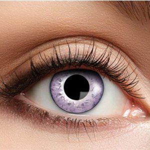 Party Lenzen Reptile Nr. 125