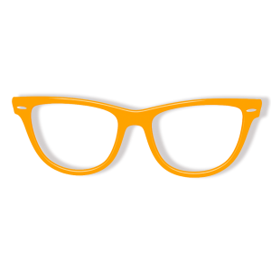 Bril Oranje zonder Glas

