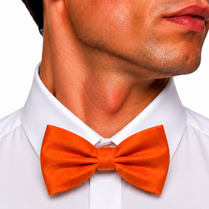 Oranje Luxe Vlinderstrik Satijn